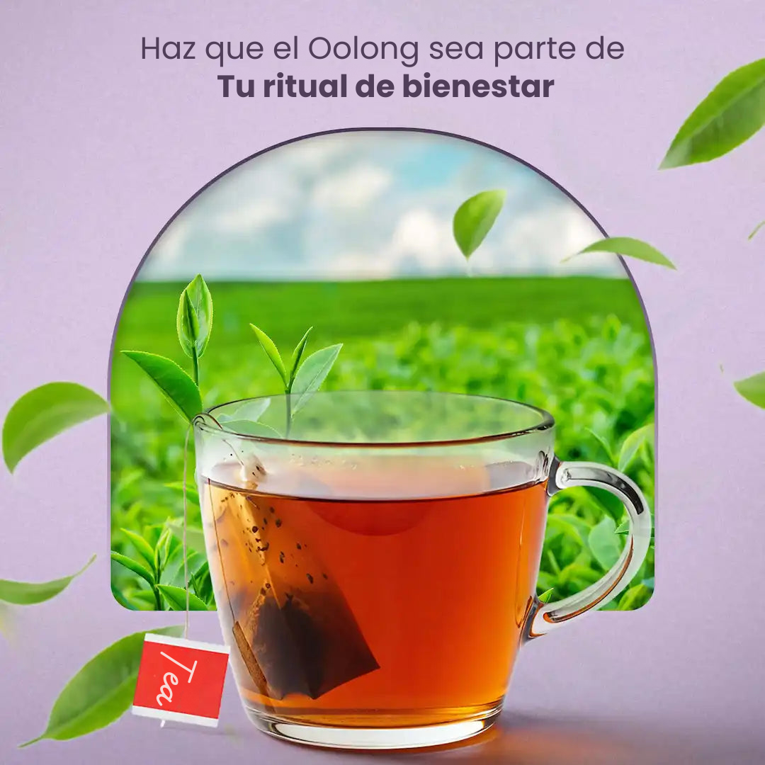 Velmira: apoya la adiponectina para ayudar a reducir los niveles de colesterol de forma natural